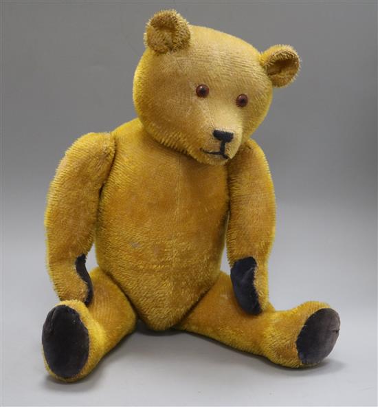 A 1920s American teddy bear, Zack, with short golden mohair, deep amber and black glass eyes, pronounced